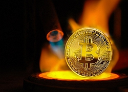 Bitcoin lại quay đầu tăng nóng