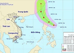 Các tỉnh, thành phố chủ động ứng phó với bão Danas