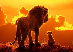 Càng chê nhiều - tiền thu về càng khủng: "Lion King" mở màn hốt bạc nghìn tỉ tại xứ Trung