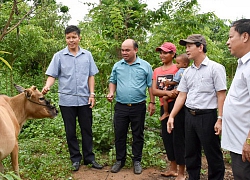 Chỗ dựa để người dân vươn lên thoát nghèo