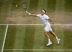 Federer bỏ Rogers Cup vì kiệt sức sau Wimbledon