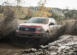 Gần 8.000 xe Ford Ranger 2019 bị triệu hồi