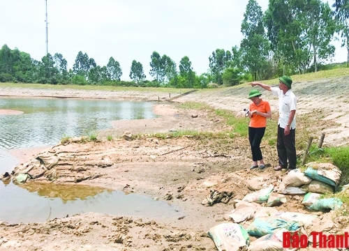 Hơn 2.000 ha lúa vụ thu mùa tưới bằng hồ đập nhỏ có nguy cơ bị hạn