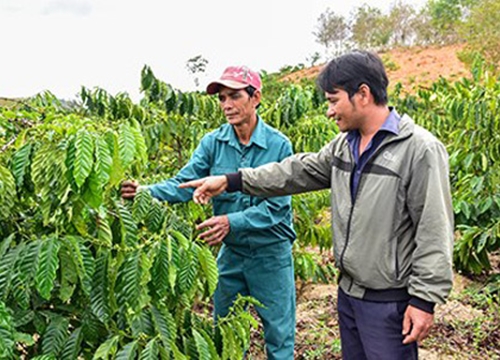 Khi Hội Nông dân chỉ lối để hội viên làm giàu trên đất cằn