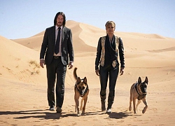 Những sự thật thú vị về bộ phim 'John Wick' ít ai biết