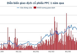 PPC: Giá vốn tăng và không còn khoản hoàn nhập dự phòng, lợi nhuận quý II giảm gần 35%