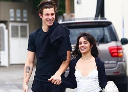 Shawn Mendes và Camila Cabello bị nghi giả vờ yêu nhau để PR