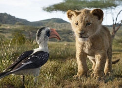 'The Lion King' bản 2019: Bình mới, nước thì... vẫn thế