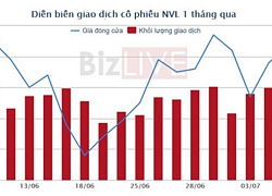 Vợ ông Bùi Thành Nhơn muốn sở hữu cổ phiếu Novaland