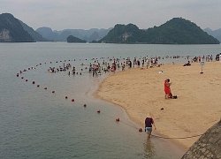 Vụ thuyền viên đục lỗ quay khách tắm: Chủ tàu rất mệt mỏi, cảm giác như "ngồi trên đống lửa"