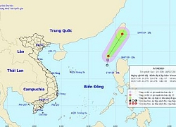 Áp thấp nhiệt đới trên biển Đông gây biển động mạnh