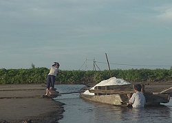 Đẹp ngỡ ngàng cánh đồng muối Bạch Long