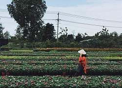 Đồng Tháp Cần Thơ và chuyến đi của sự "ngẫu hứng"