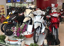 Honda Việt Nam bất ngờ sụt giảm doanh số xe máy