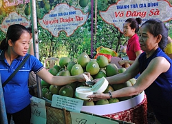 Lần đầu tiên những "siêu phẩm" nông sản độc, lạ xứ Huế được tụ hội