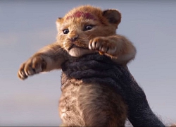 Nguy cơ The Lion King vụt mất doanh thu tỉ đô trước hàng loạt đánh giá tiêu cực