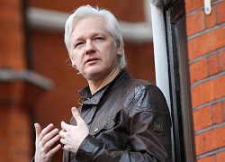 Nhà sáng lập WikiLeaks can thiệp vào bầu cử Mỹ