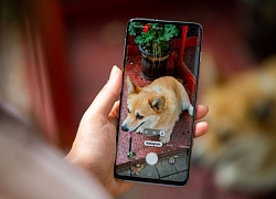 Samsung chia sẻ "bí kíp" giúp chụp ảnh với Galaxy S10 đẹp hơn trong dịp hè này