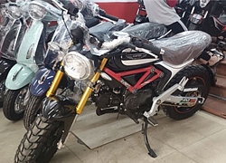 Sốc với Ducati Scambler 110cc giá chỉ 26 triệu đồng