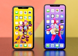 Tại Mỹ, iPhone XR là smartphone bán chạy nhất trong quý 2/2019