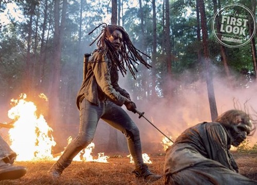 The Walking Dead 10: Michonne tử chiến với nhóm xác sống giữa biển lửa