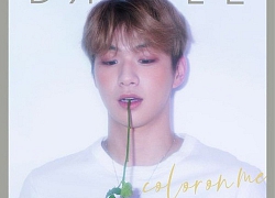 Thực hư câu chuyện: Kang Daniel không thể quảng bá sản phẩm mới vì trong thời gian kháng cáo với LM Entertainment