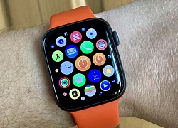 watchOS 6: Cách cập nhật phần mềm trực tiếp trên Apple Watch