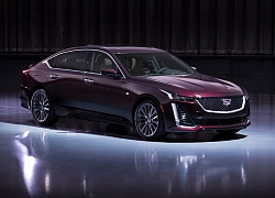 Xe sang Cadillac CT5 cho gia đình giàu có