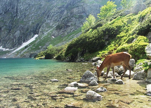 Zakopane, xứ sở thần tiên của Ba Lan