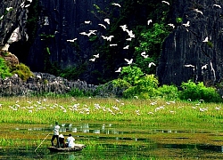 Bình yên Thung Nham, đất lành chim đậu