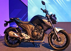 Chi tiết Yamaha FZ25 ABS 2019, giá 85 triệu ở Việt Nam