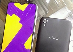 Lộ ảnh thực tế Vivo Y90, smartphone giá rẻ sắp ra mắt trong thời gian tới