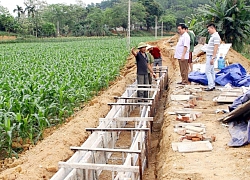 Sẵn sàng phương án ứng phó mưa lớn, lũ quét, sạt lở đất