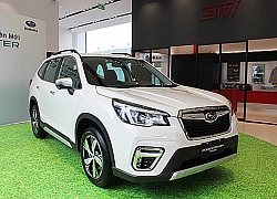 Subaru Forester giá cao nhất gần 1,3 tỷ - cơ hội nào trước CR-V, CX-5