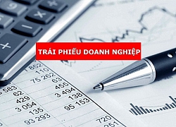 Thận trọng trong quản lý, phát hành và mua trái phiếu doanh nghiệp