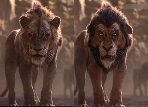 The Lion King: Chê Disney làm giống phim tài liệu thế giới động vật, fan đưa sáng kiến bản live-action