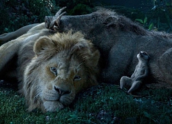 'The Lion King': Sự trở lại đầy ấn tượng mà vẹn nguyên xúc cảm sau 25 năm của Vua Sư Tử