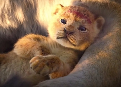 "The Lion King" xô đổ hàng loạt kỷ lục phòng vé, Disney lại đếm tiền mỏi tay rồi!