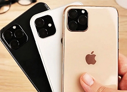 Tổng hợp tin đồn về iPhone 11: Sẽ có 3 phiên bản, Taptic Engine mới, camera góc rộng,...