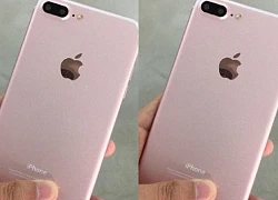 Bi hài chuyện thanh niên trộm iPhone còn hồn nhiên nhắn tin xin mật khẩu để bán máy: "Vì tôi lâm vào đường cùng rồi"