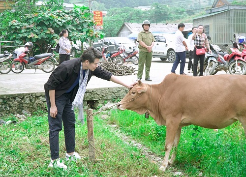 Bỏ show ở thành phố, Vũ Mạnh Cường lên núi trao bò