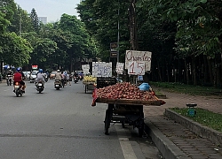 Hoa quả bán rong: Có thực "ngon, bổ, rẻ"?