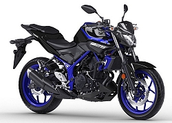 Khám phá Yamaha MT-25 2019 giá hơn 79 triệu đồng