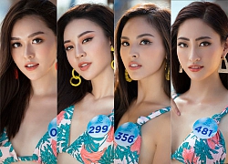 Miss World Việt Nam mang hơi thở mới mẻ của phong cách tropical vào bộ ảnh bikini mới nhất của top 39