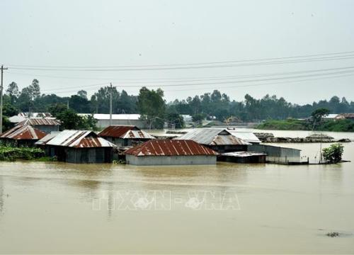 Mưa lũ hoành hành, trên 100 người Bangladesh thiệt mạng