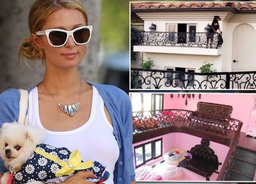 Paris Hilton khoe biệt thự 325.000 USD dành cho chó