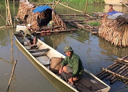 Thanh Hóa: Xuống hồ thủy điện ở sông Mã nuôi toàn loài cá ngon