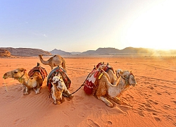 Trải mình ngắm cảnh sắc siêu thực giữa gió và cát nóng ở sa mạc Wadi Rum