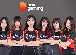 Box Ladies Đội tuyển Liên Minh Huyền Thoại nữ của Box Gaming. Họ là ai?