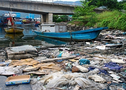 Dân "than trời" vì ô nhiễm ở cảng cá lớn nhất miền Trung